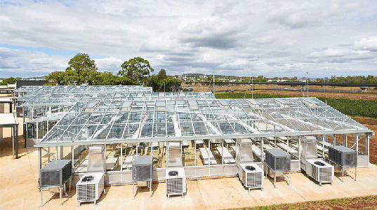 Greenhouses with transparent roofs and air conditioning units are situated in an open field under a cloudy sky.