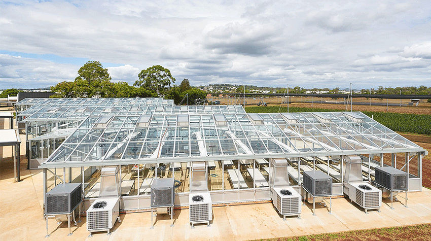 Greenhouses with transparent roofs and air conditioning units are situated in an open field under a cloudy sky.